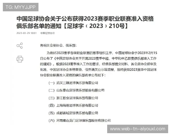 2026年篮球联赛青训营导师轮换效果调查报告发布，青年篮球协会