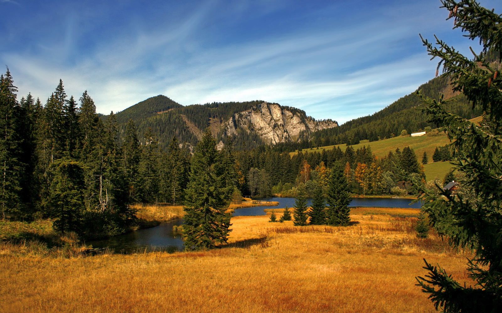 中国足球门前抢点效率统计,足球抢点是什么意思