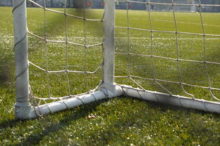 爱游戏官网app-中国足球门将扑救区域热图，中国足球门将最差吗