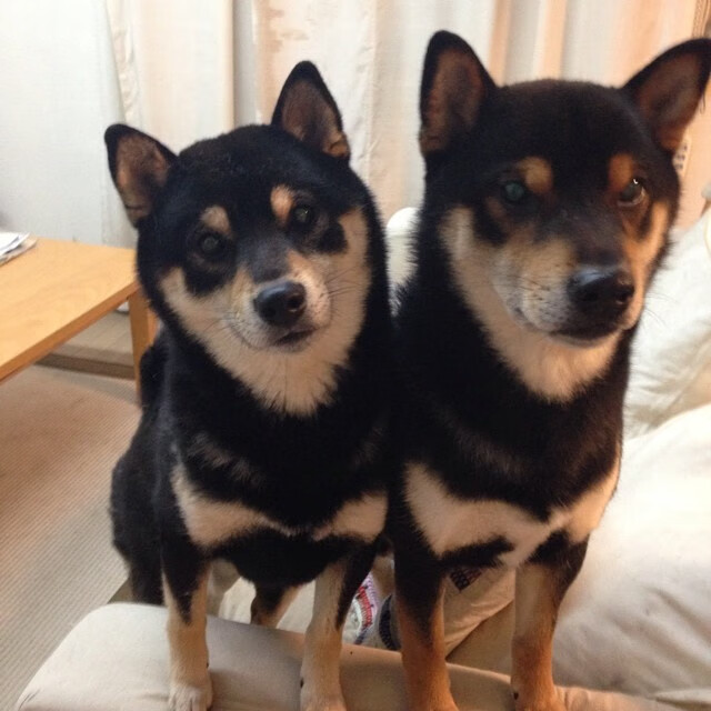 体育课程分层教学实施路径与学生满意度研究,体育教学分层教学