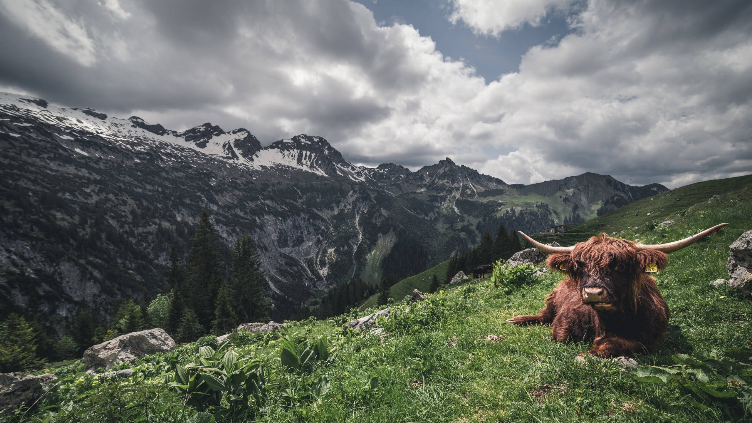 “亲子欢乐跑,香港牛仔3K亲子跑迎接家庭挑战”