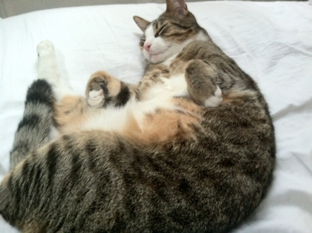 中国男篮加强高位策应丰富进攻手段,中国男篮高度