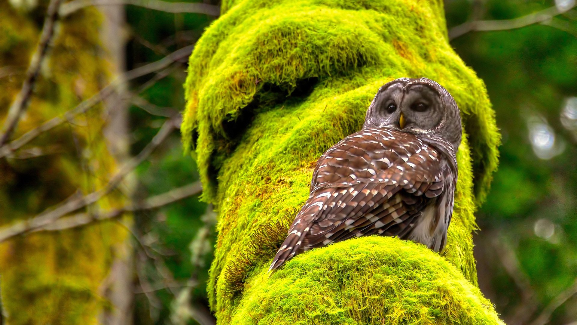 爱游戏体育官网-体育新闻中心推动体育赛事无人机直播技术研发，无人机视频直播方案