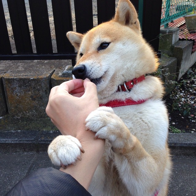 观众入场流程优化提升整体赛事体验,比赛现场观众注意事项