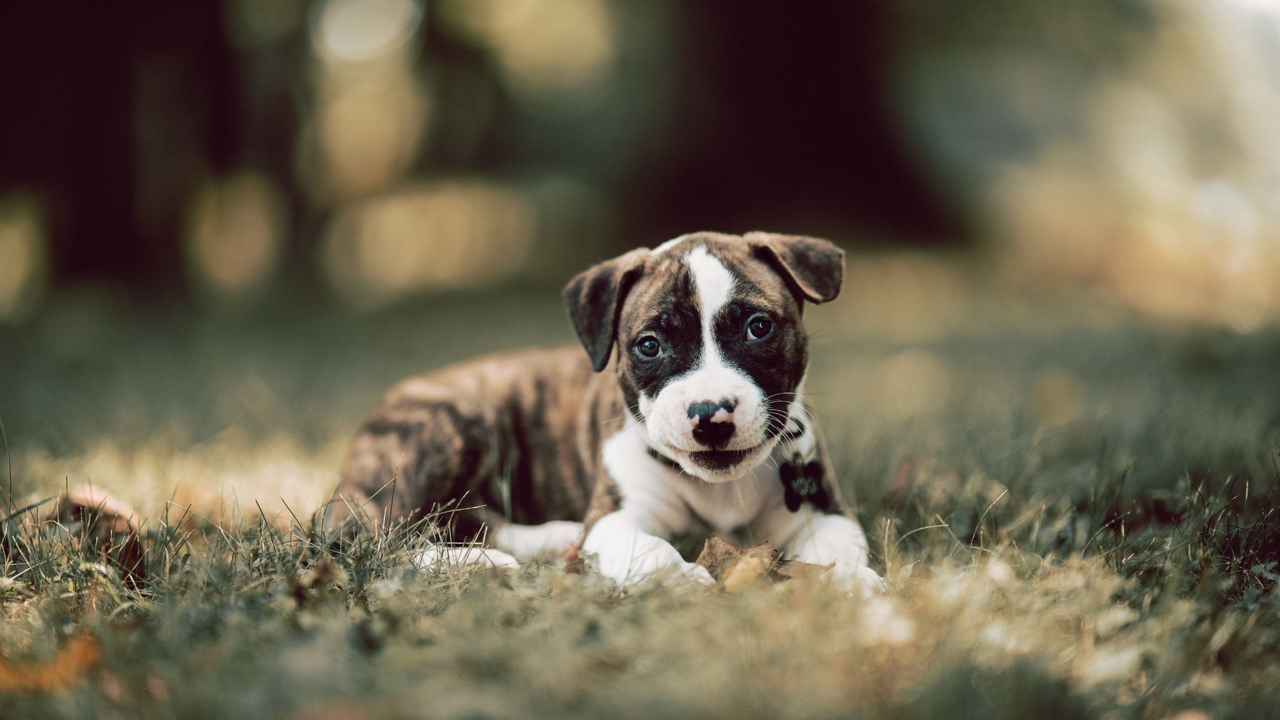 场边替补积极投入热身等待上场时刻展现专业态度与团队精神,替补随时入场