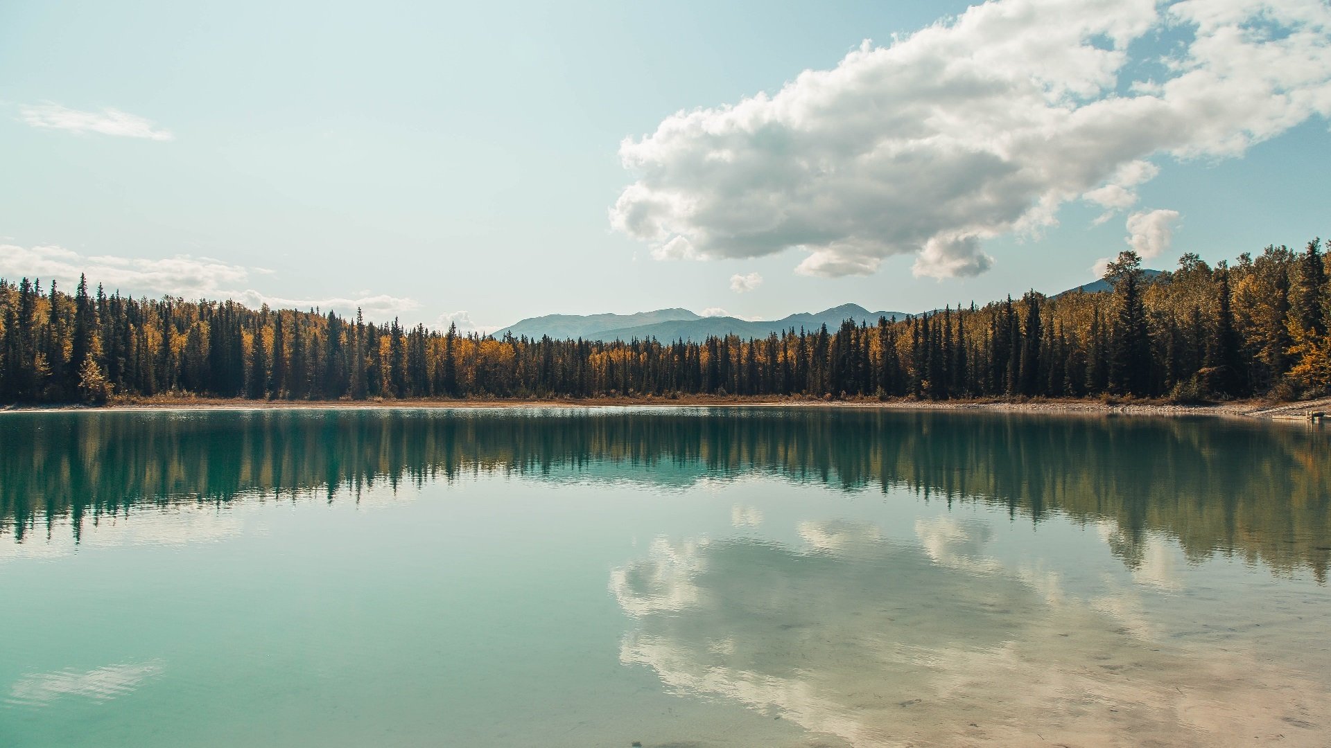 爱游戏官网充值-水球比赛朝鲜女队配合默契，水球女子队