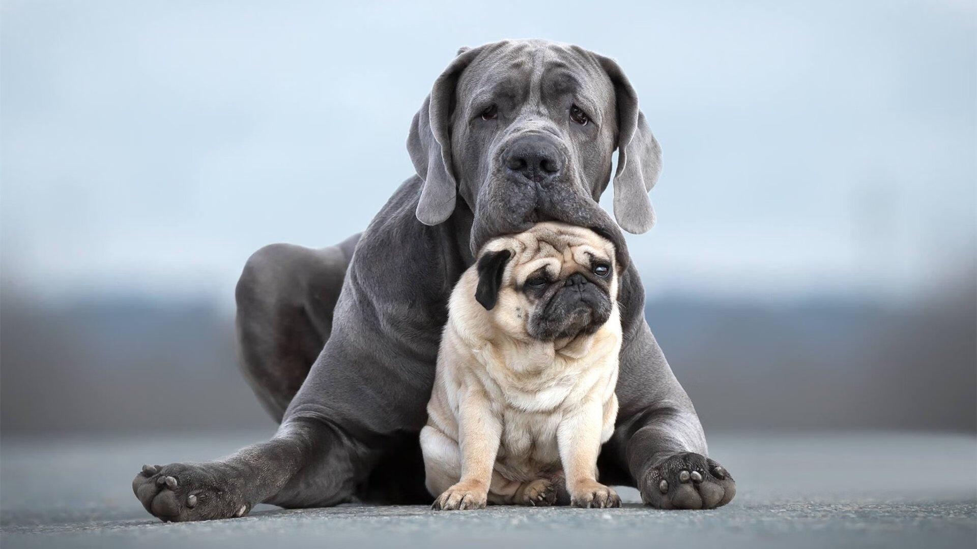 球员在国际舞台上完成个人里程碑庆祝仪式